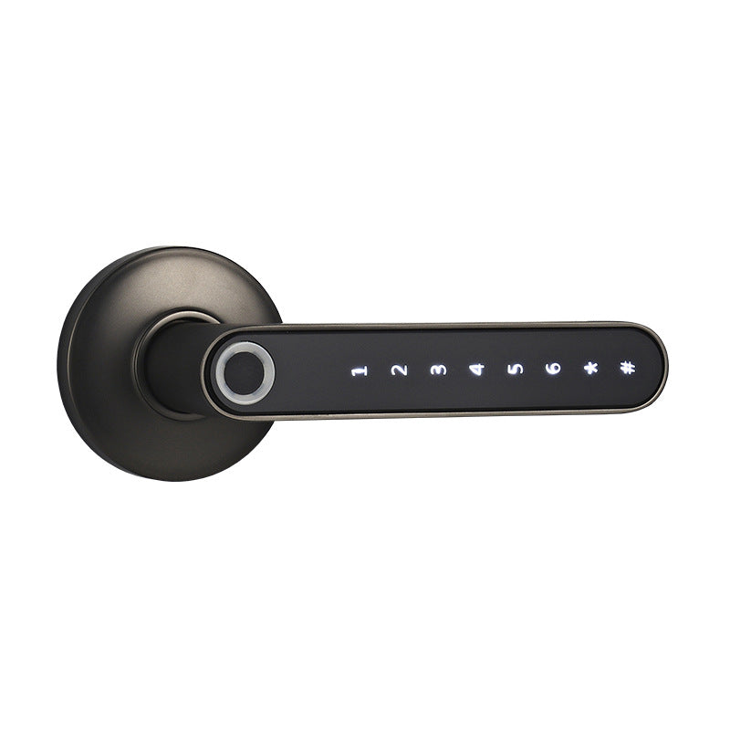 Smart Lock Fingerprint Password